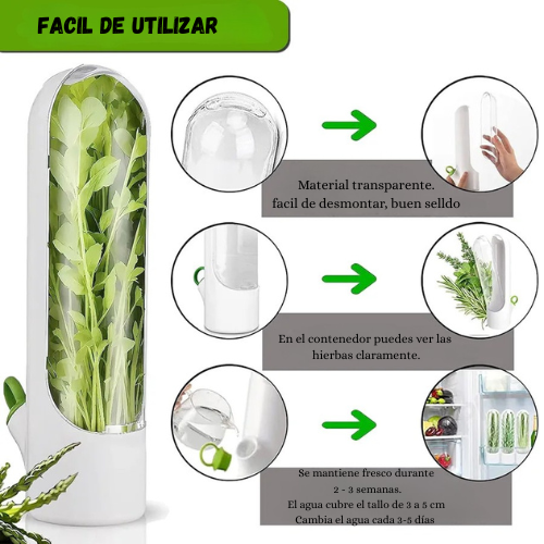 Conservador De Hierbas verdes