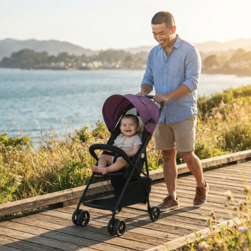 Carrito de paseo