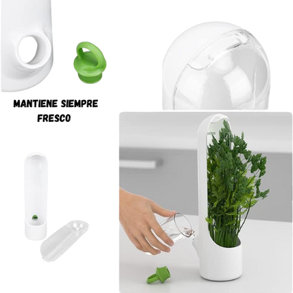 Conservador De Hierbas