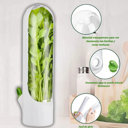 Conservador De Hierbas