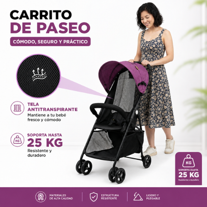 Carrito de paseo