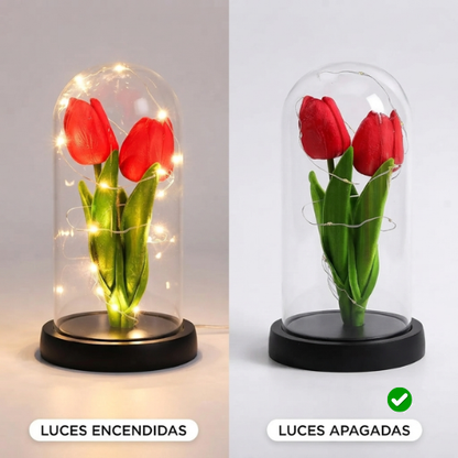 Tulipanes eternos